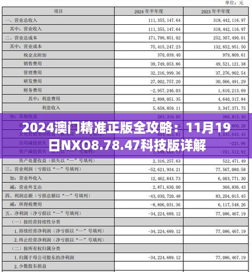 2024澳门精准正版全攻略：11月19日NXO8.78.47科技版详解