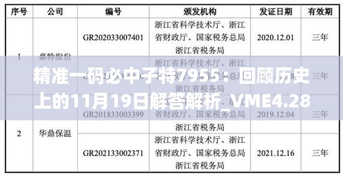 精准一码必中子特7955：回顾历史上的11月19日解答解析_VME4.28.90真版本