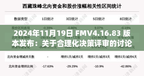 2024年11月19日 FMV4.16.83 版本发布：关于合理化决策评审的讨论