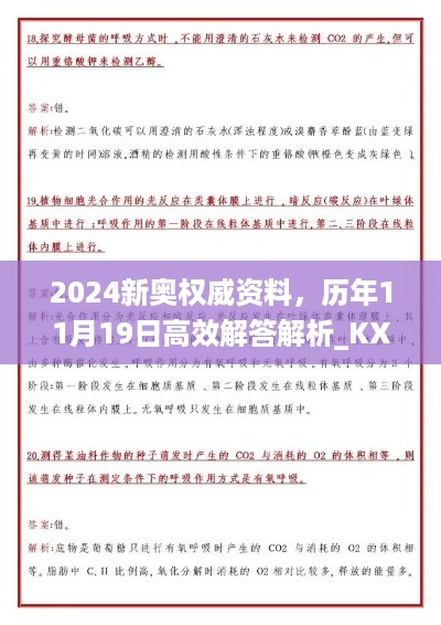 2024新奥权威资料，历年11月19日高效解答解析_KXI5.68.91专版