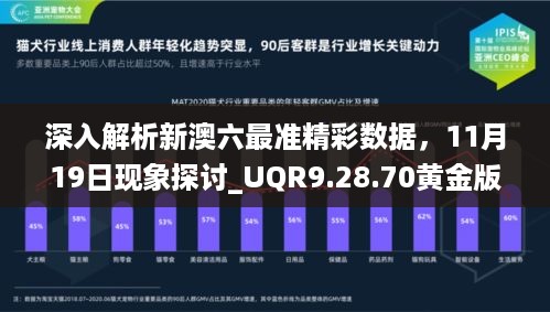 深入解析新澳六最准精彩数据，11月19日现象探讨_UQR9.28.70黄金版