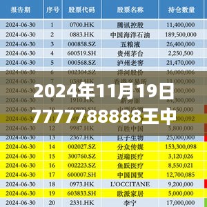 2024年11月19日7777788888王中王开奖记录解析与方案执行_JSX3.72.95绿色版