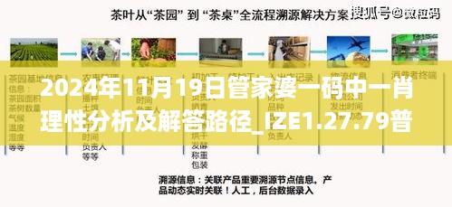 2024年11月19日管家婆一码中一肖理性分析及解答路径_IZE1.27.79普及版