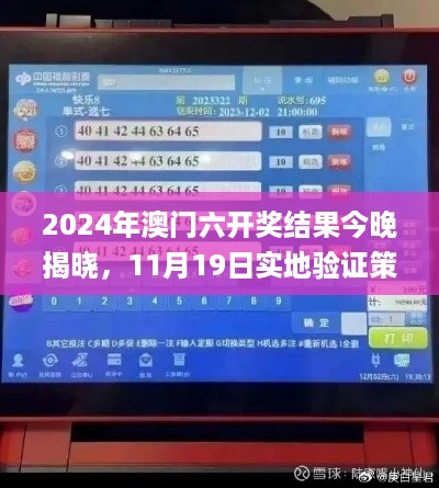 2024年澳门六开奖结果今晚揭晓，11月19日实地验证策略数据_SII2.71.57亮版