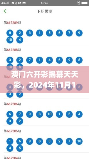 澳门六开彩揭幕天天彩，2024年11月19日智慧解析与执行策略_AYX2.74.23经典版