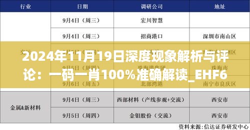 2024年11月19日深度现象解析与评论：一码一肖100%准确解读_EHF6.68.99随机版