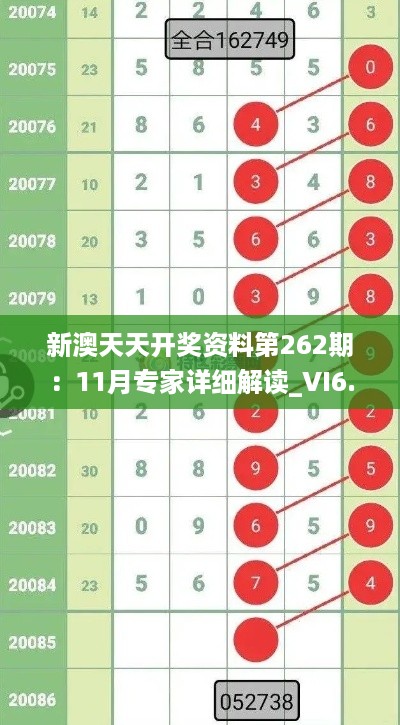 新澳天天开奖资料第262期：11月专家详细解读_VI6.31.50珍贵版