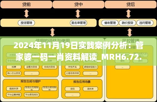 2024年11月19日实践案例分析：管家婆一码一肖资料解读_MRH6.72.85长生境