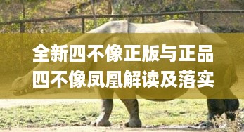 全新四不像正版与正品四不像凤凰解读及落实总结_MGQ9.24.67云技术版