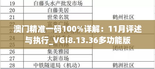 澳门精准一码100%详解：11月评述与执行_VGI8.13.36多功能版