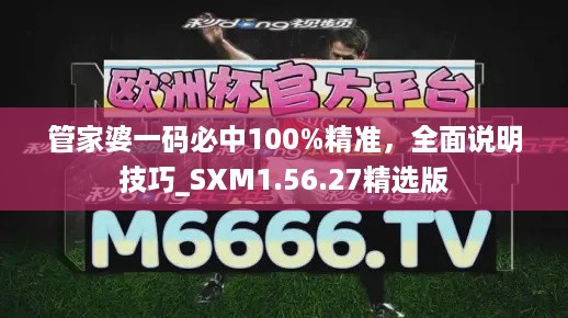 管家婆一码必中100%精准，全面说明技巧_SXM1.56.27精选版