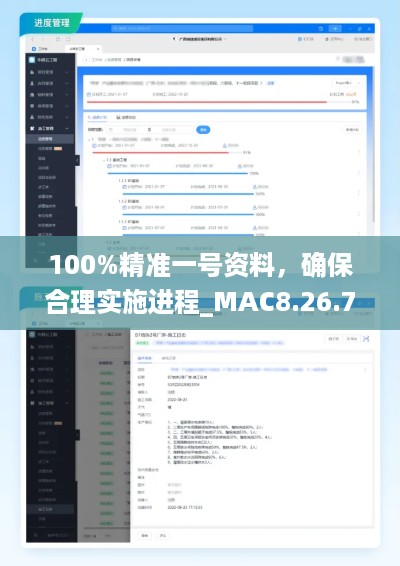 100%精准一号资料，确保合理实施进程_MAC8.26.78直观版