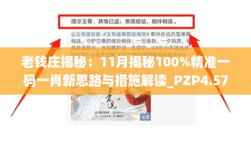 老钱庄揭秘：11月揭秘100%精准一码一肖新思路与措施解读_PZP4.57.29影音体验版