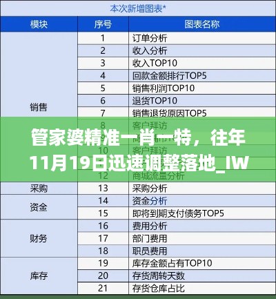 管家婆精准一肖一特，往年11月19日迅速调整落地_IWA9.28.82改革版