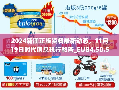 2024新澳正版资料最新动态，11月19日时代信息执行解答_EUB4.50.53核心版