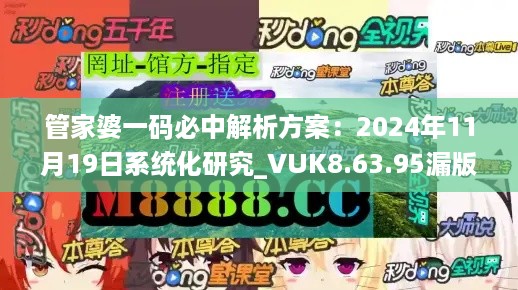 管家婆一码必中解析方案：2024年11月19日系统化研究_VUK8.63.95漏版