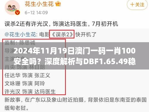 2024年11月19日澳门一码一肖100安全吗？深度解析与DBF1.65.49稳定版解读