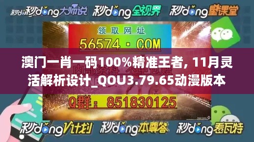 澳门一肖一码100%精准王者, 11月灵活解析设计_QOU3.79.65动漫版本