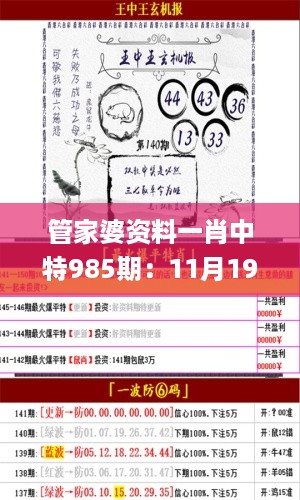 管家婆资料一肖中特985期：11月19日历史回顾与解析_SKO3.71.66影视版