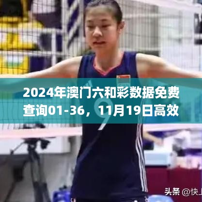 2024年澳门六和彩数据免费查询01-36，11月19日高效设计方案_UON1.15.61经典版