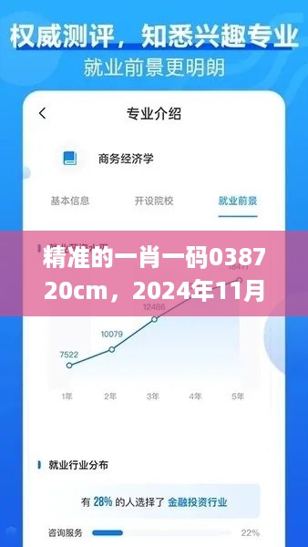 精准的一肖一码038720cm，2024年11月19日实践评估解读方案_UVJ2.41.77多媒体版