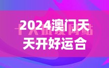 2024澳门天天开好运合集应用, 持续方案设计_THP5.79.53温馨版