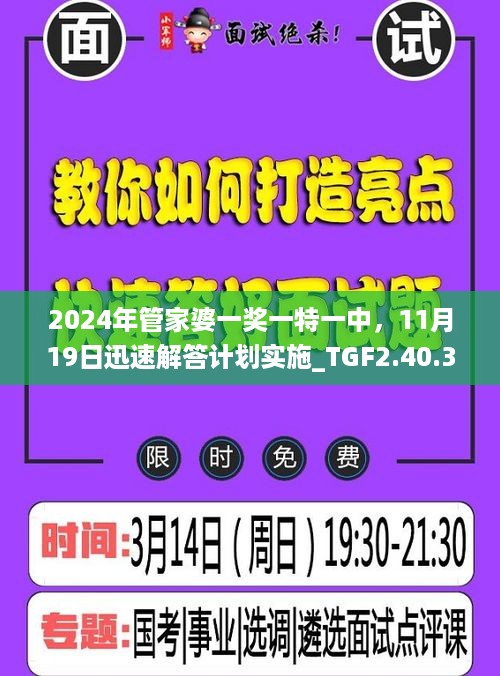 2024年管家婆一奖一特一中，11月19日迅速解答计划实施_TGF2.40.33迷你版