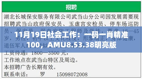 11月19日社会工作：一码一肖精准100，AMU8.53.38明亮版