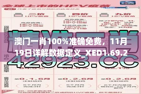 澳门一肖100%准确免费，11月19日详解数据定义_XED1.69.27静默版