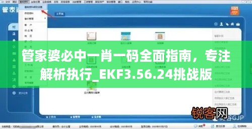 管家婆必中一肖一码全面指南，专注解析执行_EKF3.56.24挑战版