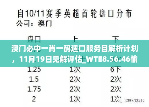 澳门必中一肖一码适口服务目解析计划，11月19日见解评估_WTE8.56.46愉悦版