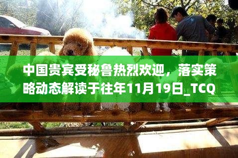 中国贵宾受秘鲁热烈欢迎，落实策略动态解读于往年11月19日_TCQ3.73.92风尚版