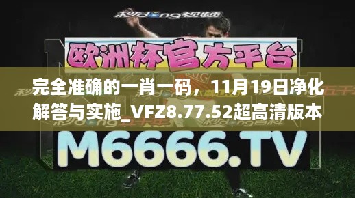 完全准确的一肖一码，11月19日净化解答与实施_VFZ8.77.52超高清版本