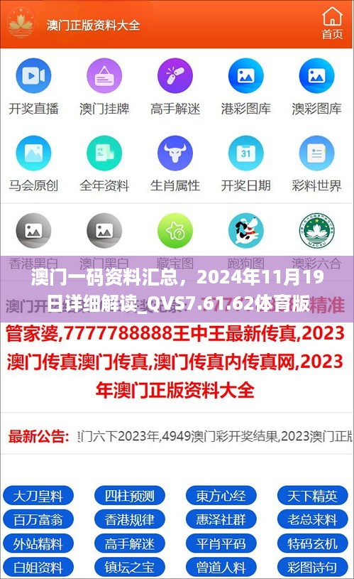 澳门一码资料汇总，2024年11月19日详细解读_QVS7.61.62体育版