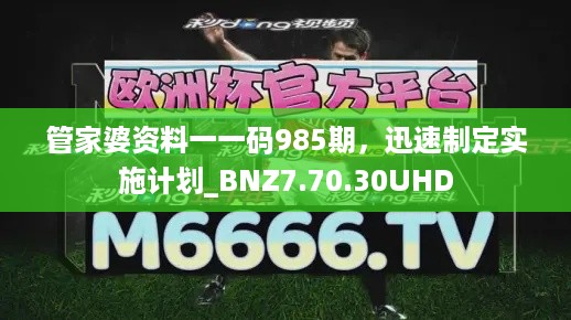 管家婆资料一一码985期，迅速制定实施计划_BNZ7.70.30UHD