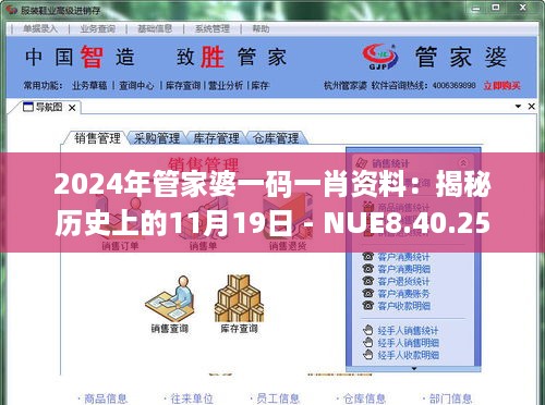 2024年管家婆一码一肖资料：揭秘历史上的11月19日 - NUE8.40.25 DIY版详解