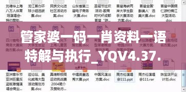 管家婆一码一肖资料一语特解与执行_YQV4.37.76抗菌版