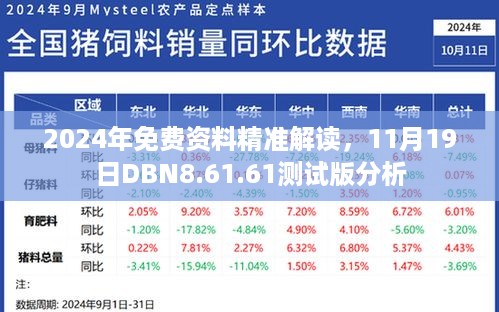 2024年免费资料精准解读，11月19日DBN8.61.61测试版分析