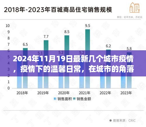 疫情下的温馨日常，城市角落的爱与陪伴，2024年最新疫情报告