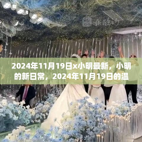 小明的新日常，温馨足迹，记录2024年11月19日的点滴