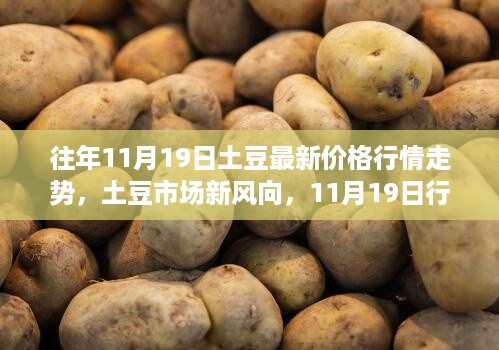 科技引领下的土豆市场新纪元，11月19日行情走势与最新价格揭秘