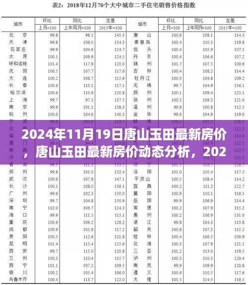 2024年11月19日唐山玉田最新房价动态分析与观点