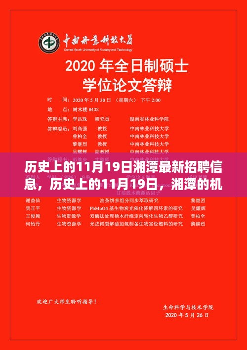 2024年11月19日 第2页