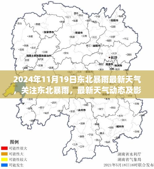 东北暴雨最新动态，2024年11月19日天气分析与影响评估