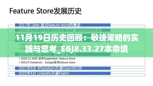 11月19日历史回顾：敏捷策略的实践与思考_EGJ8.33.27本命境