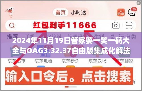 2024年11月19日管家婆一笑一码大全与OAG3.32.37自由版集成化解法