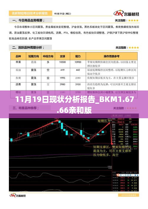 11月19日现状分析报告_BKM1.67.66亲和版