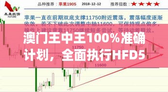 澳门王中王100%准确计划，全面执行HFD5.16.31通用版本