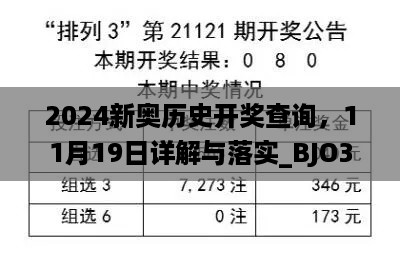 2024新奥历史开奖查询，11月19日详解与落实_BJO3.35.72复古版