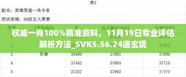 权威一肖100%精准资料，11月19日专业评估解析方法_SVK5.56.24通玄境